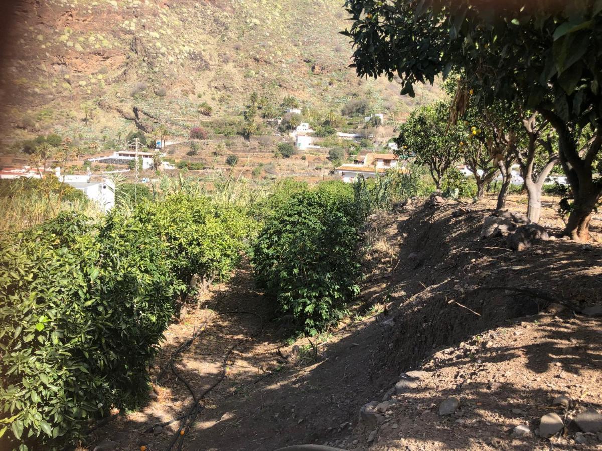 דירות אגאטה Casa Camino Tamadaba II מראה חיצוני תמונה