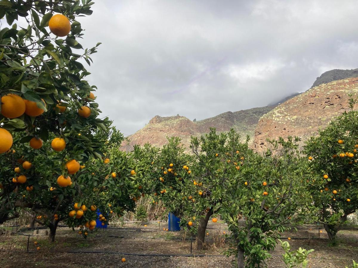 דירות אגאטה Casa Camino Tamadaba II מראה חיצוני תמונה