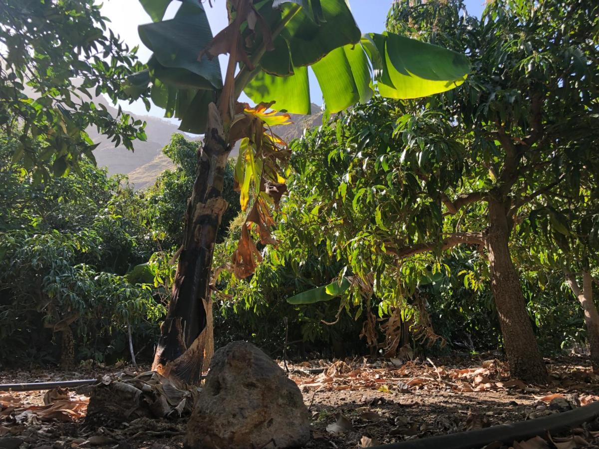 דירות אגאטה Casa Camino Tamadaba II מראה חיצוני תמונה